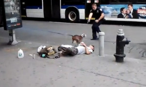 The Video of an NYPD Officer Shooting an Aggressive Pit Bull on the ...