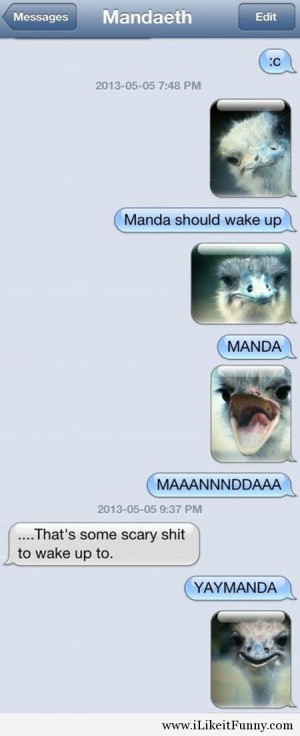 funny-ostrich-wake-up