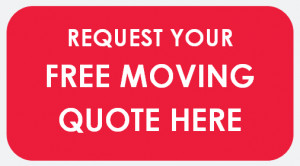 Removalists Newcastle – Welcome to Time Rite Removals.