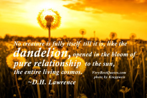 ... pure relationship to the sun, the entire living cosmos. ~D.H. Lawrence