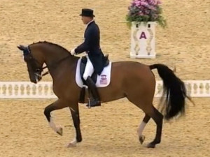 heres-a-great-gif-of-ann-romneys-horse-competing-in-the-olympics.jpg