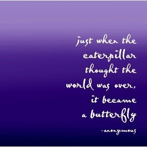 Butterfly quotes and sayings image by kiwi8298 on Photobucket
