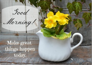 primrose to brighten the day.