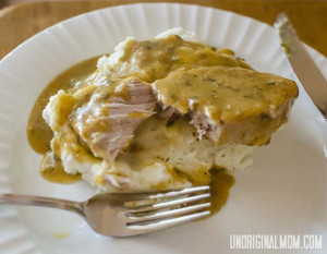 Pork Chop Recipes Crock Pot...
