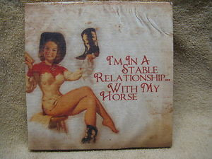 ... -Relationship-Canvas-Sign-Wall-Decor-Horse-Cowgirl-FUNNY-HUMOROUS