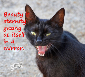 10 Angry Cats Meet Inspirational Quotes