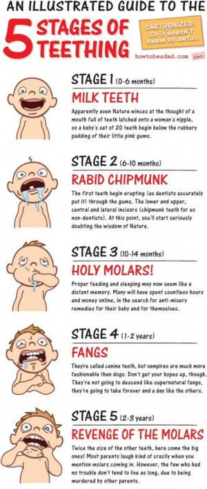 The 5 Stages of Teething... All parents can relate! ha ha ha