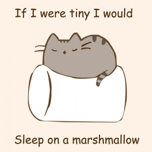 text cats marshmallow drawings kittens 5000x5000 wallpaper Pets cats ...