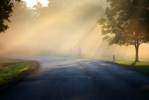 Never fear shadows. They simply mean there’s a light shining ...