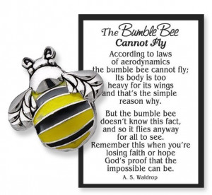 Home > NEW ARRIVALS > The Bumble Bee Cannot Fly Token with Card