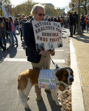 Canines for Cannabis Rally to Restore Sanity