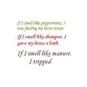 If I Smell Like Shampoo, I Gave My Horse A Bath