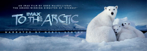 The reviews are in! To The Arctic is wowing audiences with its ...