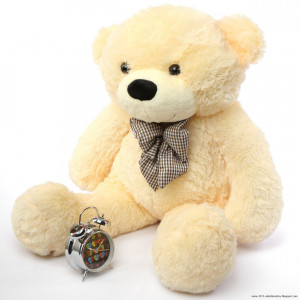 Valentines day Teddy bear gift ideas n HD wallpapers