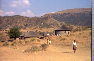 Rural Area Areasagriculture