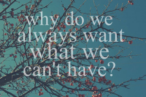 why-do-we-always-want-what-we-cant-have.jpeg