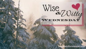 Wise and Witty Wednesday - Valentines edition - quotes on love...