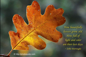 John Burroughs Quotes (Images)