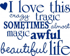 crazy life Decal Sticker Wall Graphic Art Quote Love Wedding boy girl ...