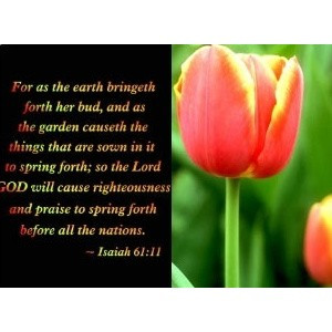 Free Spring with Bible Verses 11 Wallpaper - Download The Free Spring ...