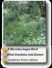 What Daedalus told Darwin
