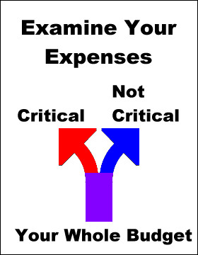 Examine your expenses from your whole budget. Which are critical and ...
