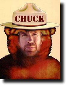 chuck norris in famous sayings chuck norris can have his cake