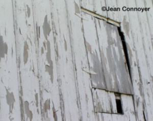 Weathered Barn Door