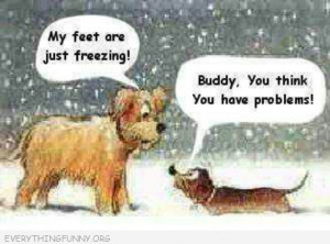 funny cartoons dogs standing in snow y feet are frozen shorter dog you ...