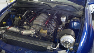 2005 GTO Engine Bay