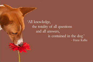 ... Totality Of All Question And All Answer, Is Contained In The Dog