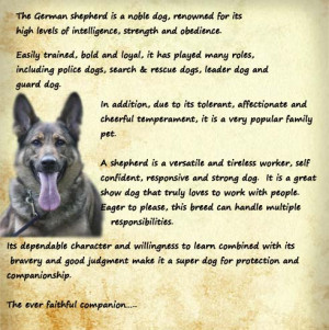 We hope that this has given you an insight into what our breeding ...