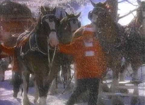 Merry Christmas from The Budweiser Clydesdales