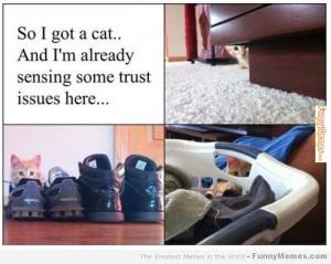 253 x 300 14 kb jpeg credited to quoteko com