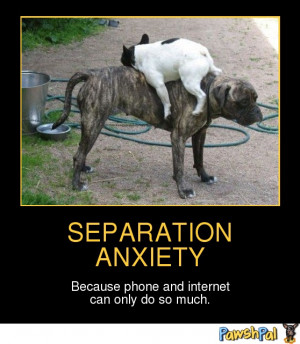 Separation Anxiety | PawshPal.com