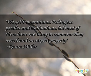 Samoan Quotes Follow Order...