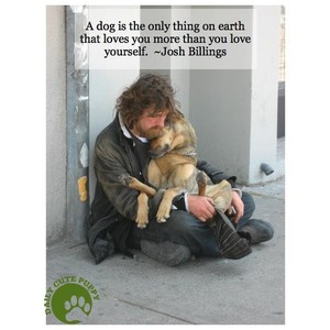 11 Awesome Dog Quotes Presented by Dogs and Puppies | Daily Cute Puppy