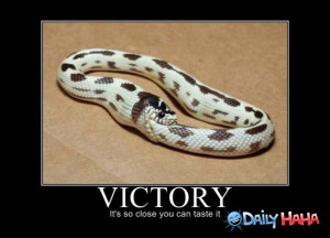 Funny victory, funny victory sayings, lebron ja mes
