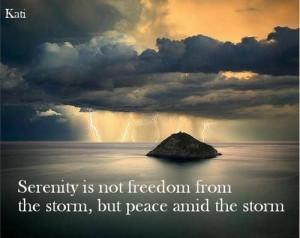 Serenity is not freedom from.....