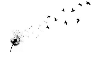 love you without knowing how, or when, or from where.