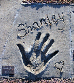 Shanley Del Morris Was Born...