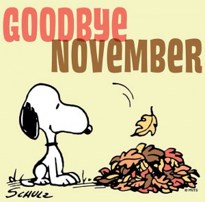 Good bye November