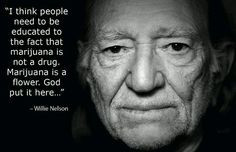 Willie Nelson Quote More