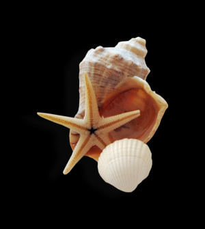 Right place above the heart and tear to vent out the color. Spelling ...