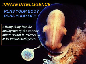 Chiropractic: Is it Nature, Medicine or Religion?