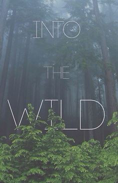 ... indie Grunge silence green nature peace forest bohemian wild Woods
