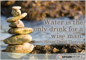 Motivational Quote - Water is the only drink for a wise man.