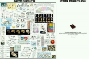 Evidence for & against evolution