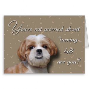 48th Birthday Dog Greeting Card