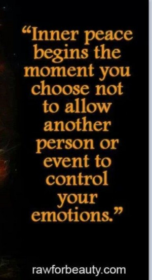 Inner peace begins the moment you choose not to allow another person ...
